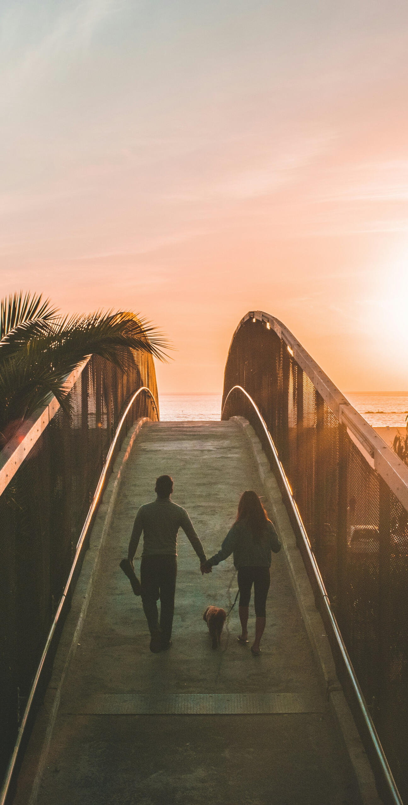 Couples Counseling Near Me Couple walking hand in hand at sunset with dog, representing relationship connection and progress through couples therapy in Murfreesboro, TN.